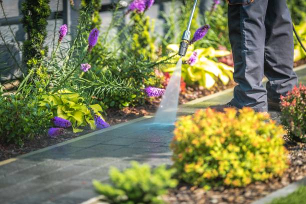  Honeoye Falls, NY Pressure Washing Pros
