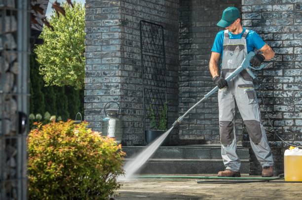 Best Soft Washing  in Honeoye Falls, NY
